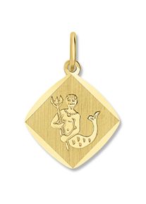 ONE ELEMENT Damen Sternzeichen-Anhänger "Wassermann Sternzeichen Anhänger aus 333 Gelbgold", Wassermann, Gelbgold 333-Gold, gold, Gelbgold 333, Gold,