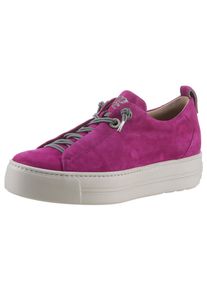 Paul Green Damen Slip-On Sneaker, Gr. 36, lila, Ziegenveloursleder, casual, Schuhe