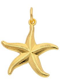 Adelia´s ADELIA ́S Damen Ketten-Anhänger "333 Gold Anhänger Seestern", Gelbgold 333, gold, Gelbgold 333, Schmuckanhänger, 333 Gold Goldschmuck für Damen