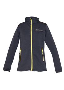 DEPROC Active Damen Fleecejacke "Wohlfühljacke WAVERLEY WOMEN", grau, casual, Gr. 42, 96% Polyester; 4% Elastan mit TPU Membrane, Jacken, auch in