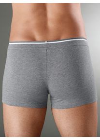 wäschepur WÄSCHEPUR Herren Panty, Gr. 5, grau, 95% Baumwolle, 5% Elasthan, Unterhosen