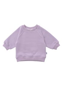 Liliput Herren Sweatshirt "flieder", lila, Gr. 110, unifarben, 80% Baumwolle, 20% Polyester, Sweatshirts, mit Druckknöpfen am Kragen