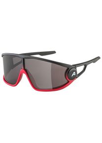 Alpina Legend Cat 3 Sonnenbrille (grau)