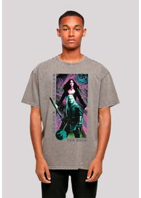 F4NT4STIC Herren T-Shirt "The Witcher Fortune Favours The Bold", grau, casual, Gr. XXL, Obermaterial: 100% Baumwolle, Shirts, Premium Qualität