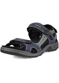 Riemchensandale Ecco "Offroad" Gr. 49, blau (marine grau) Herren Schuhe Sommerschuh, Klettschuh, Outdoorschuh, in Trekking-Optik