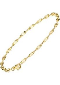 Goldarmband Jobo Armbänder Gr. Gelbgold 585, gelb (gelbgold 585) Damen 585 Gold 19 cm