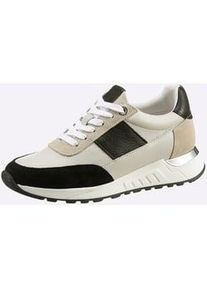 Sneaker Heine Gr. 41, beige (beige, schwarz) Damen Schuhe