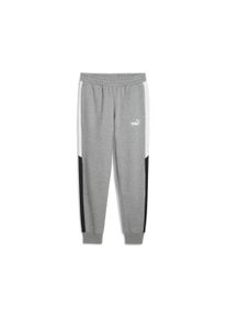 Puma Herren Trainingshose "POWER COLORBLOCK SWEATPANTS FL CL", grau, sportlich, Gr. S, colorblocking, Fleece, Obermaterial: 66% Baumwolle, 34%