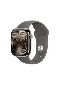 Apple Watch S10 Titan Natur Cellular 42mm (Sportarmband steingrau) M/L MWXE3QF/A