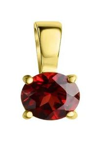 Ketten-Anhänger Firetti "Schmuck Geschenk Silber 925 Halsschmuck Anhänger Solitär Rubin" Schmuckanhänger Gr. Silber 925 (Sterlingsilber), 0,50 g, goldfarben (gelbgoldfarben, rot, rot) Damen mit Granat