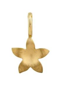 Ketten-Anhänger OROLINO "585 Gold mit Blumen-Motiv 7mm breit" Schmuckanhänger Gr. ONE-SIZE, Gold, 0,2 g, gelb Damen