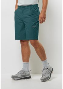 Jack Wolfskin Herren Shorts "GRAVEX SHORTS M", grün, Gr. 56, OBERSTOFF: 84% POLYAMID, 16% ELASTHAN; LINING: 100% POLYESTER, Hosen