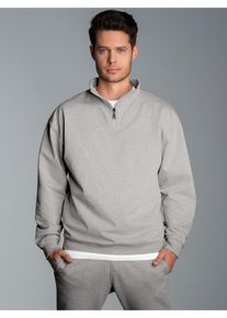 TRIGEMA Herren Sweatshirt "TRIGEMA Troyer in bequemer Sweat-Qualität", grau, Basic, Gr. L, 70% Baumwolle, 30% Polyester, Sweatshirts