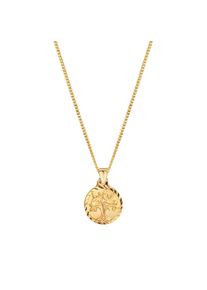 Diamonds by Ellen K. Damen Kette mit Anhänger "Gold 333 mit Lebensbaum Motiv 42/42cm lang", 42/45cm, Gold, L: 45cm B: 12.0mm, gelb, FASCINATION BY ELLEN K., Gold,