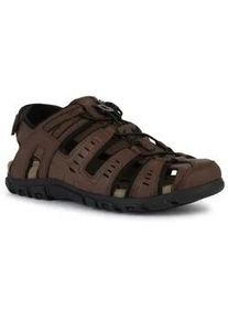 Sandale Geox "UOMO SANDAL STRADA C" Gr. 41, braun (dunkelbraun-schwarz) Herren Schuhe Sommerschuh, Klettschuh, Outdoorsandale, mit Lederfußbett