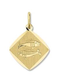 Sternzeichen-Anhänger ONE ELEMENT "Fische Sternzeichen Anhänger aus 333 Gelbgold" Schmuckanhänger Gr. Fische, Gelbgold 333, goldfarben (gold) Damen Gold Schmuck Fische