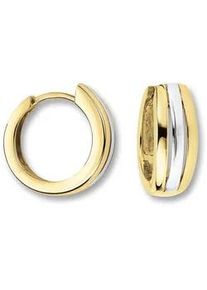 Paar Creolen ONE ELEMENT "Ohrringe aus 333 Gelbgold" Ohrringe Gr. Damen, Gelbgold 333, goldfarben (gold) Damen Gold Schmuck