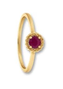 Goldring ONE ELEMENT "Rubin Ring aus 333 Gelbgold" Fingerringe Gr. 56, Gelbgold 333, goldfarben (gold) Damen Gold Schmuck