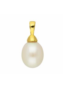 Adelia´s ADELIA ́S Damen Ketten-Anhänger "Damen Goldschmuck 333 Gold Anhänger mit Süßwasser Zuchtperle", Gelbgold 333, gold, Gelbgold 333, Schmuckanhänger, 333