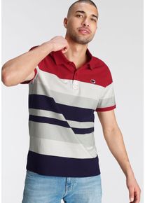 Kangaroos Herren Poloshirt "Kangaroos", bunt, casual, Gr. XXXL, Obermaterial: 100% Baumwolle, Shirts, halbarm, Regular Fit, casual, aus Baumwolle