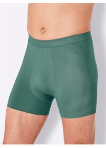 COMTE Herren Panty, Gr. 6, grün, 95% Baumwolle, 5% Elasthan, Unterhosen