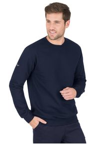 TRIGEMA Herren Sweatshirt "TRIGEMA Sweatshirt aus Biobaumwolle", blau, Basic, Gr. L, 75% Baumwolle (Biobaumwolle kbA), 25% Baumwolle (recycelt),