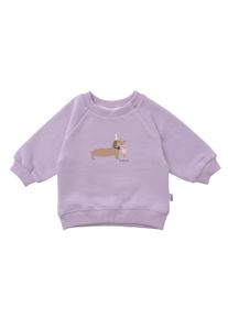 Liliput Herren Sweatshirt "Dackel", lila, Gr. 110, bedruckt, 80% Baumwolle, 20% Polyester, Sweatshirts, mit niedlichem Dackel-Print