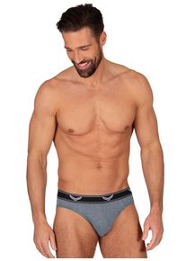 TRIGEMA Herren Slip "TRIGEMA Sportslip im Doppelpack", Gr. L, grau, 95% Baumwolle, 5% Elastan, Unterhosen