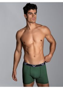 TRIGEMA Herren Boxer "TRIGEMA Bequeme Pants mit Webgummibund", Gr. L, grün, 95% Baumwolle, 5% Elastan, Unterhosen