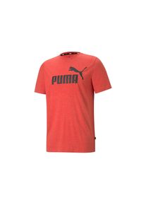 Puma Herren T-Shirt