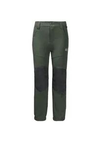 Funktionshose Jack Wolfskin "RASCAL WINTER PANTS KIDS" Gr. 164, Normalgrößen, grau (graugrün) Kinder Hosen