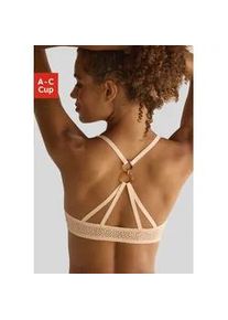 Push-up-BH Lascana Gr. 70, Cup C, beige (puder) Damen BHs mit entzückender Rückenpartie und Neckholder-Träger, sexy Dessous