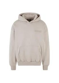 Kapuzensweatshirt DROPSIZE "Dropsize Herren Heavy Oversize HD Print Hoodie" Gr. S, silberfarben (silbergrau) Herren Sweatshirts