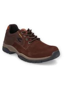 Schnürschuh Camel Active Gr. 45, braun Herren Schuhe Freizeitschuh, Halbschuh, Trekkingschuh mit Profillaufsohle