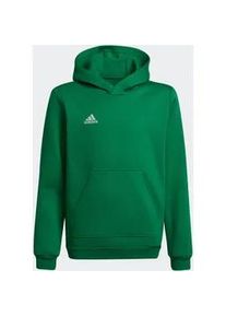 Kapuzensweatshirt Adidas PERFORMANCE "ENT22 HOODY Y" Gr. 128, grün (team green / white) Kinder Sweatshirts