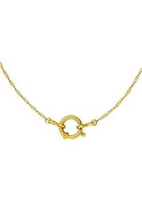 Charm-Kette PURELEI "Schmuck Geschenk Lokahi, 2116" Halsketten Gr. Edelstahl, L: 45cm, goldfarben (gelbgoldfarben) Damen