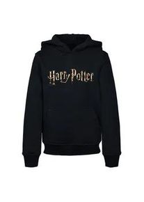 Kapuzensweatshirt ABSOLUTE CULT "ABSOLUTE Herren Kids Harry Potter - Colour Logo Basic Hoody" Gr. 122/128, schwarz Jungen Sweatshirts