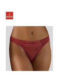 String Petite Fleur Gr. 44/46, braun (haselnuss, puder) Damen Unterhosen aus modischer Spitze