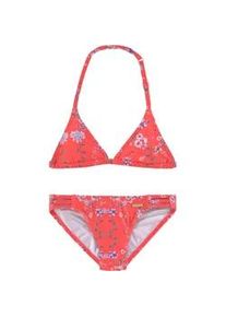 Triangel-Bikini Sunseeker "Ditsy Kids" Gr. 146/152, N-Gr, orange Kinder Bikini-Sets mit sommerlichem Print