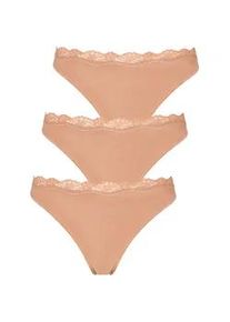 String Lascana Gr. 40/42, beige Damen Unterhosen aus elastischer Baumwolle mit zarter Spitze