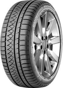 GT RADIAL Winterreifen "GT RADIAL", 255mm / 50 % R 19 107V, schwarz, Autoreifen, CHAMPIRO WINTERPRO HP
