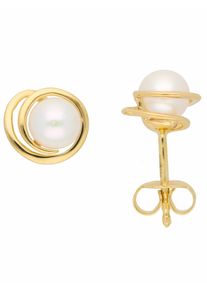 Adelia´s ADELIA ́S Damen Paar Ohrhänger "1 Paar 333 Gold Ohrringe / Ohrstecker mit Süßwasser Zuchtperle", Damen, Gelbgold 333, gold, Gelbgold 333, Ohrringe,