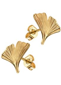 Firetti Damen Paar Ohrstecker "Schmuck Geschenk Gold 333 Ohrschmuck Ohrringe Ginko", Gelbgold 333, gold, Gelbgold 333, Ohrringe, Made in Germany
