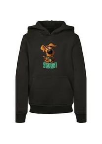 Hoodie F4NT4STIC "F4NT4STIC Kinder Scooby Doo Puppy with Basic Kids Hoody" Gr. 146/152, schwarz Jungen Sweatshirts Hoodie