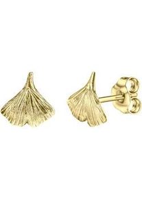 Paar Ohrstecker Firetti "Schmuck Geschenk, Ohrringe Gingko, Gold 333" Gr. Gelbgold 333, goldfarben (gelbgoldfarben) Damen