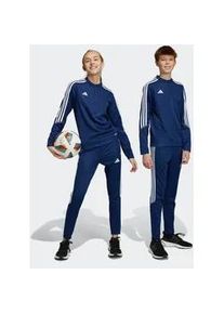 Trainingshose Adidas PERFORMANCE "TIRO23 CBTRPNTY" Gr. 164, N-Gr, blau (team navy blue 2 / white) Kinder Hosen