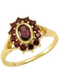 Fingerring Firetti "Schmuck Geschenk Gold 333 Damenring Goldring Edelstein Farbstein" Fingerringe Gr. 58, Gelbgold 333, 1,5mm, goldfarben (gelbgoldfarben-rot + rot) Damen mit Granat