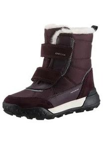 Winterstiefel Geox "J TREKKYUP GIRL B ABX" Gr. 35, lila (dunkellila) Kinder Schuhe Klettstiefel, Snowboots, Winterstiefel mit Warmfutter