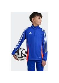 Trainingsshirt Adidas PERFORMANCE "TIRO24 TRTOPY" Gr. 152, blau (lucid blue / white app solar red) Kinder Shirts