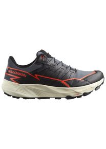 Salomon Thundercross GTX Trailrunningschuhe Herren Trailrunning (Gr 49 1/3 |grau |wasserdicht)